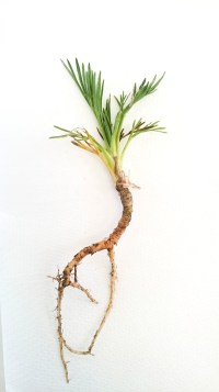 2016-04-23 16.27.56.1